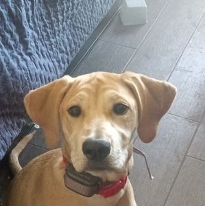 Meet your Posher, Bridgette